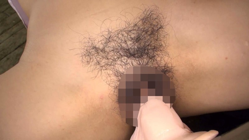 サンプル画像 6