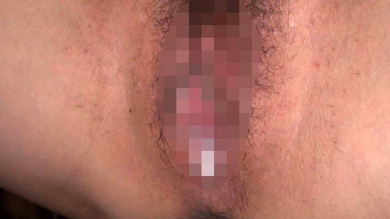 サンプル画像 8