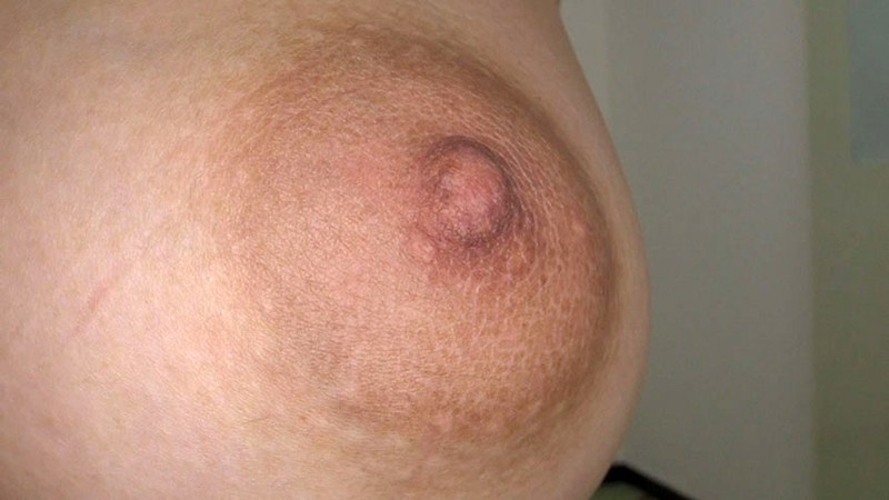 サンプル画像 11