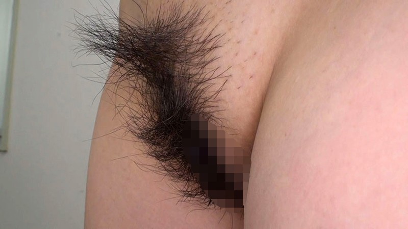 サンプル画像 16