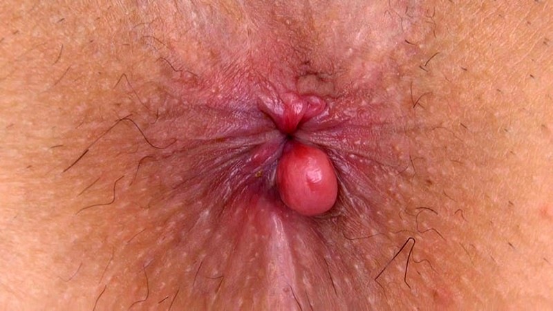 サンプル画像 18