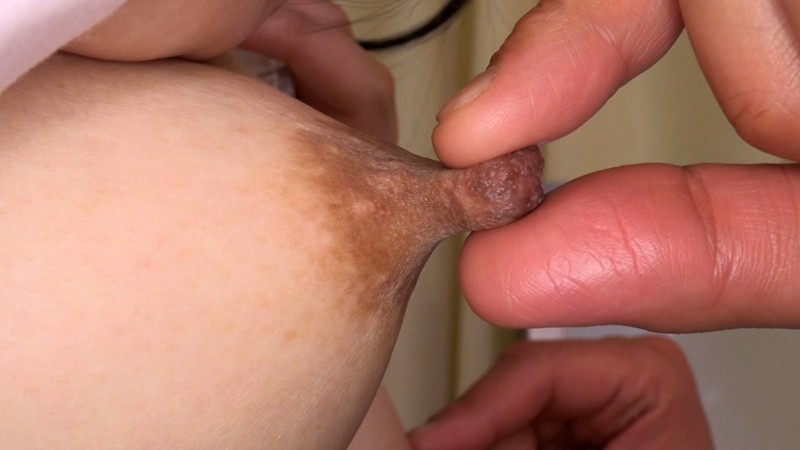 サンプル画像 15