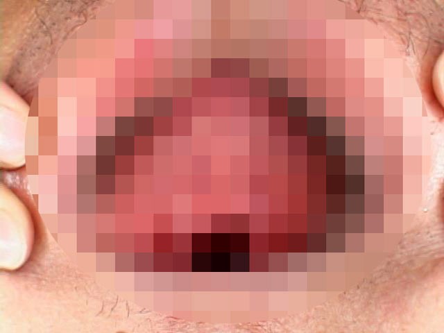 サンプル画像 4