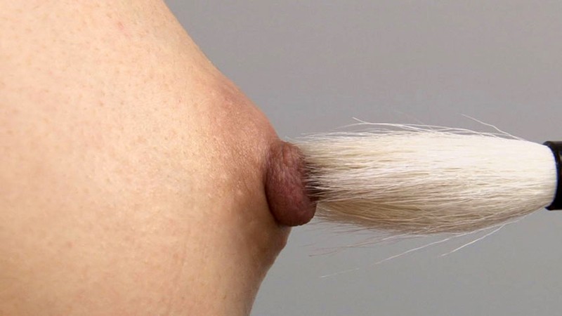 サンプル画像 16