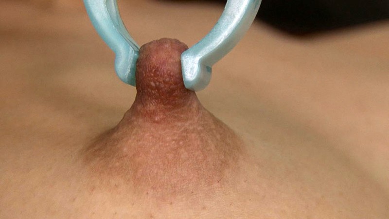 サンプル画像 4