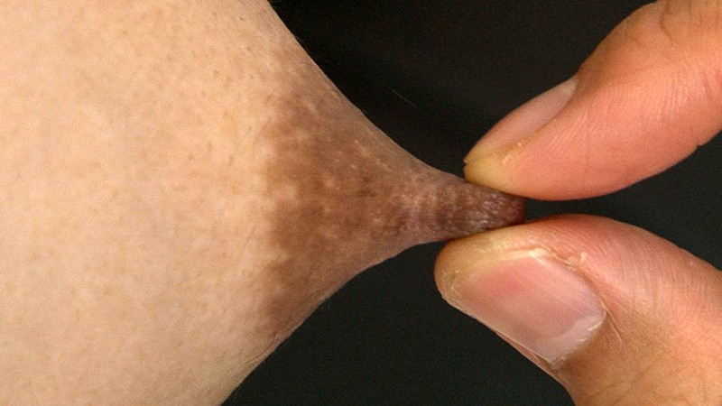 サンプル画像 14