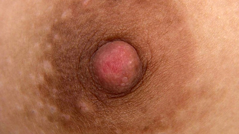 サンプル画像 16