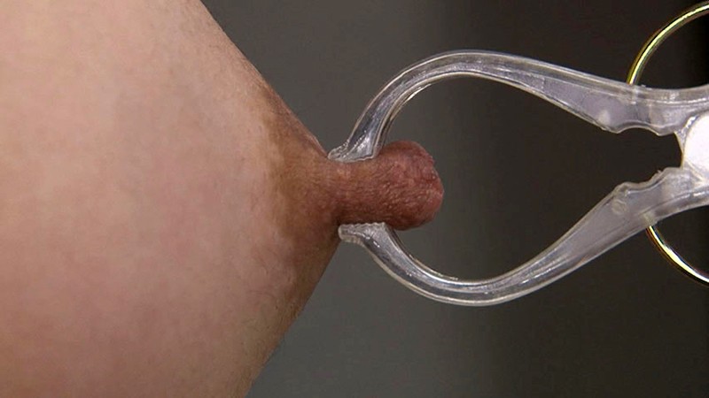 サンプル画像 11