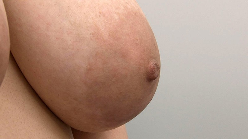 サンプル画像 8