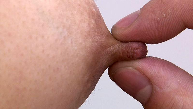 サンプル画像 10