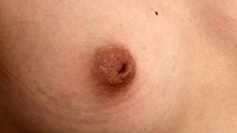 サンプル画像 11