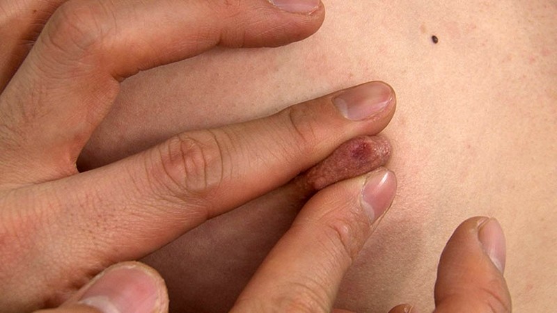 サンプル画像 12