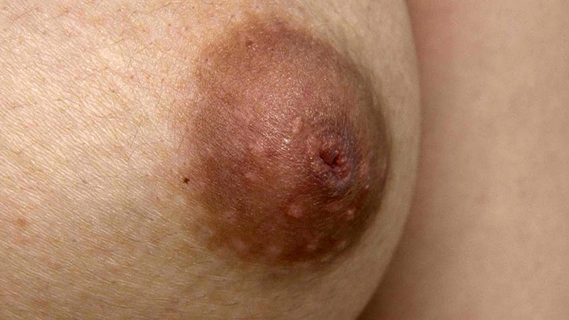 サンプル画像 6