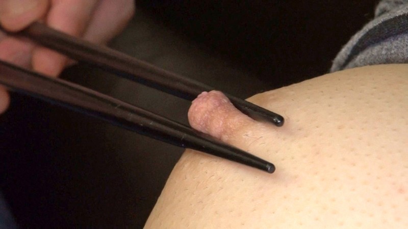 サンプル画像 15