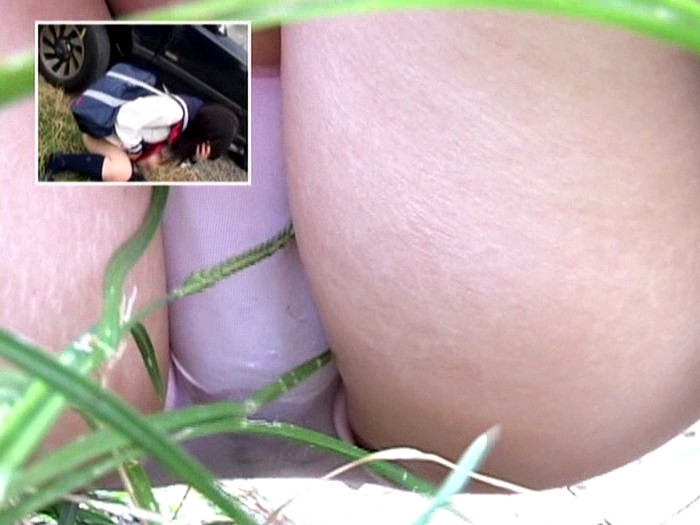 サンプル画像 13