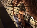サンプル画像 41