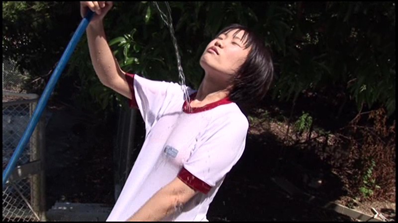 サンプル画像 8