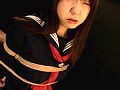 サンプル画像 33