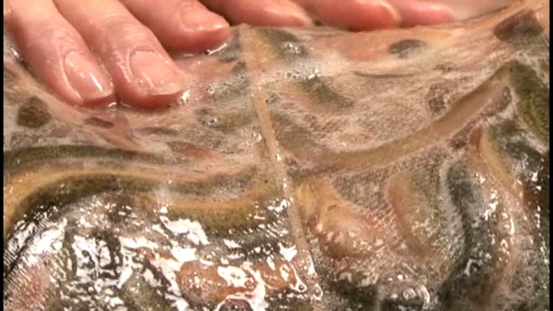 サンプル画像 4