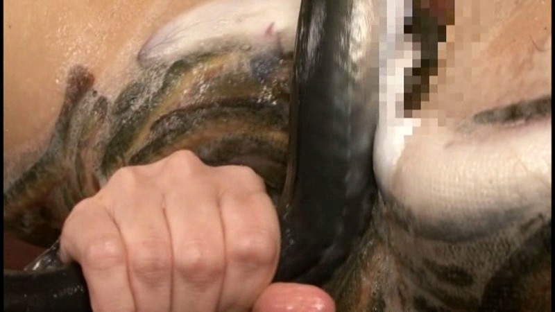 サンプル画像 6