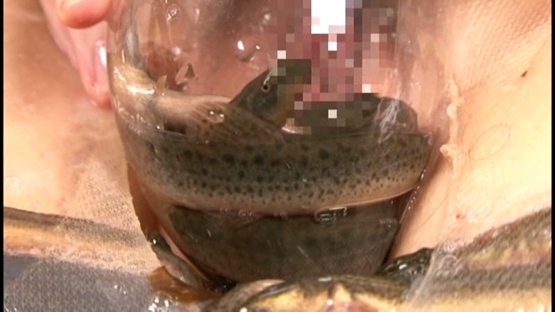 サンプル画像 7