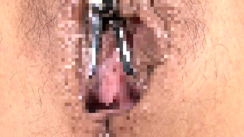 サンプル画像 20