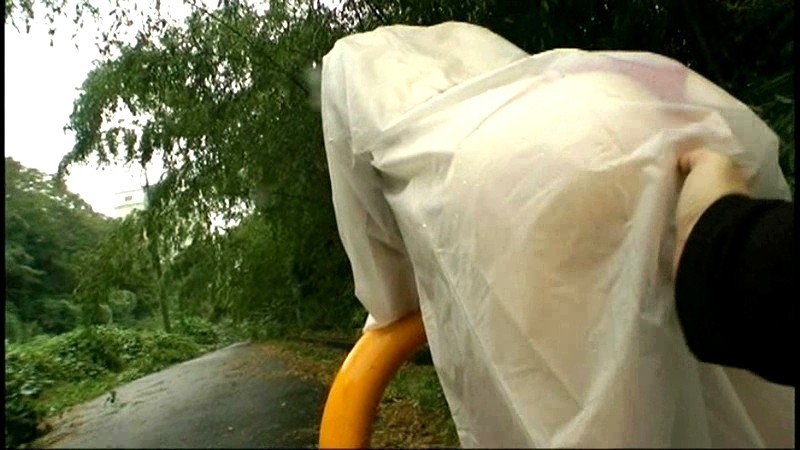 サンプル画像 11