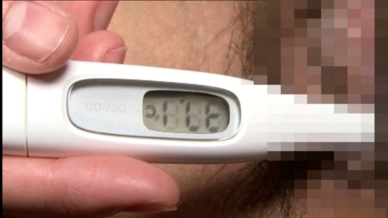 サンプル画像 2