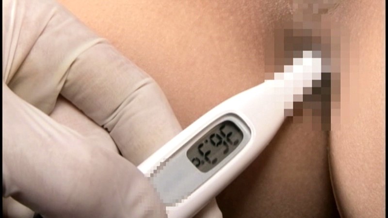 サンプル画像 13