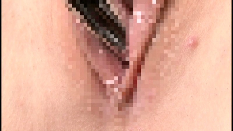 サンプル画像 12