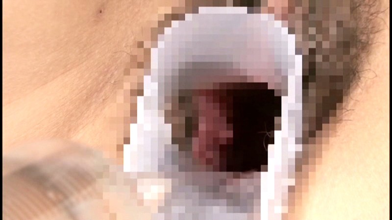 サンプル画像 5