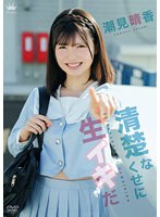 パッケージ画像