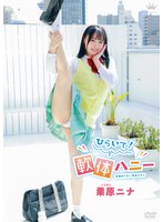 パッケージ画像
