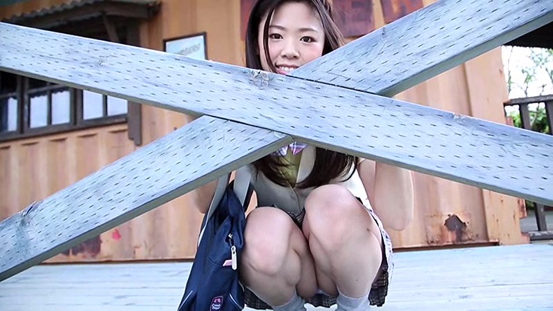 サンプル画像 2