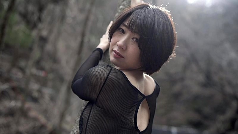 サンプル画像 2