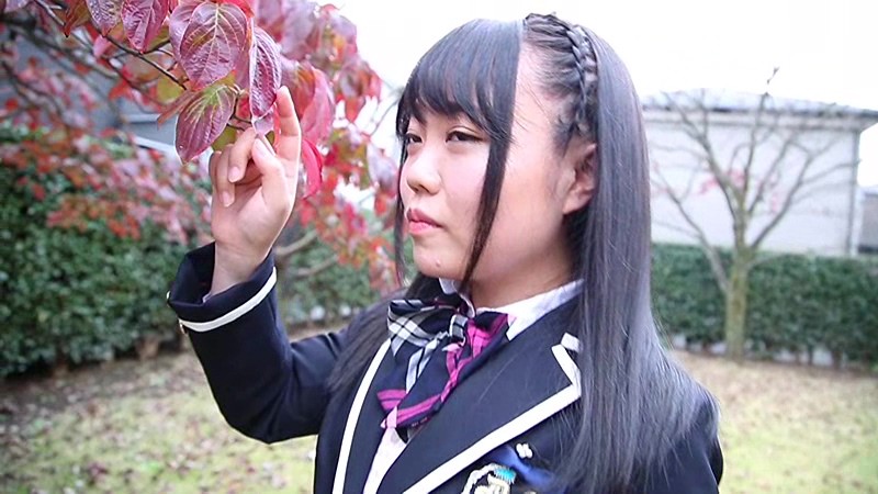 サンプル画像 2