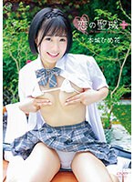 サムネイル画像