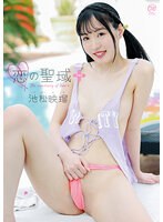パッケージ画像