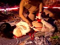 サンプル画像 36