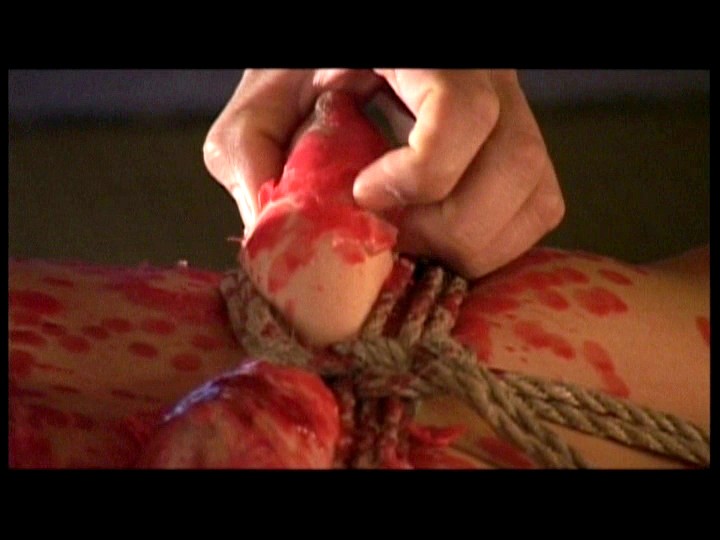 サンプル画像 14