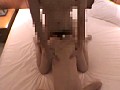 サンプル画像 40