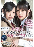パッケージ画像