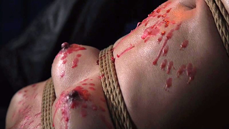 サンプル画像 5