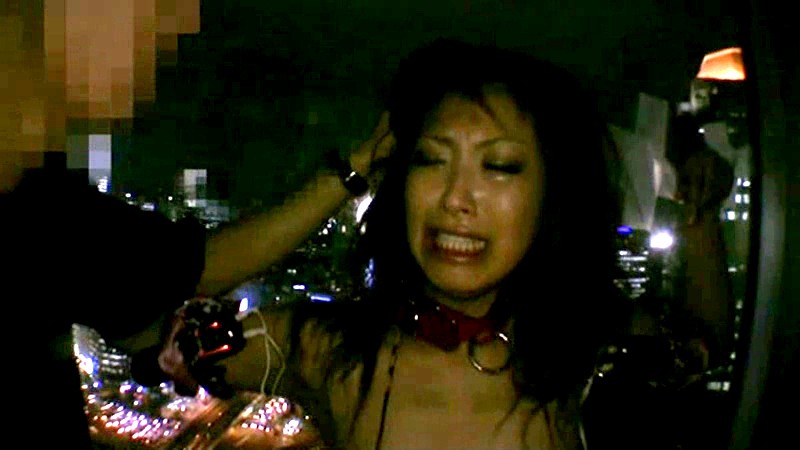 サンプル画像 14