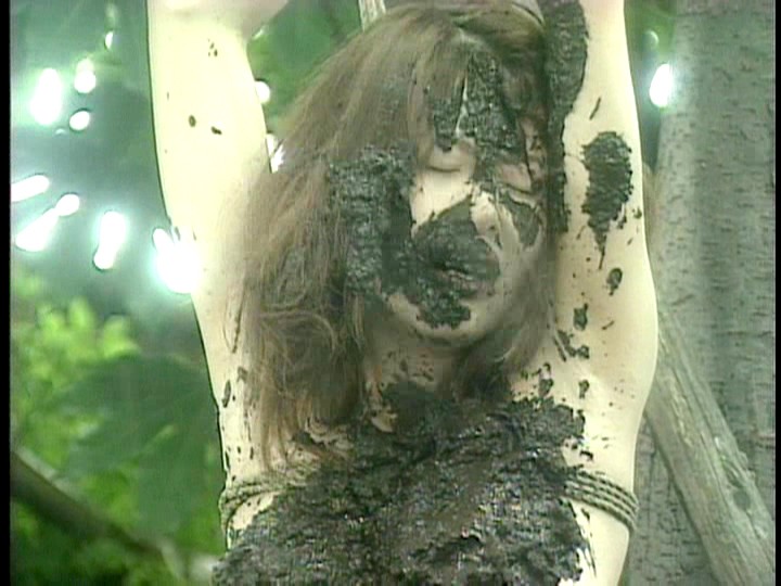 サンプル画像 13