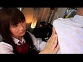 サンプル画像 23