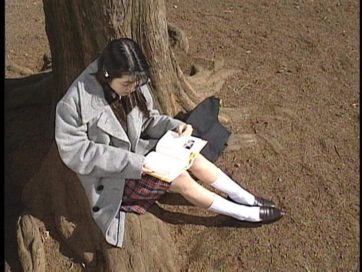 サンプル画像 3