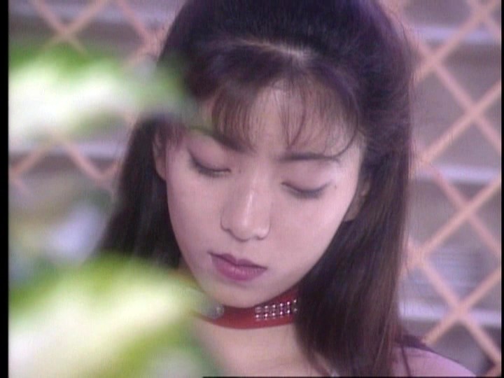 サンプル画像 6