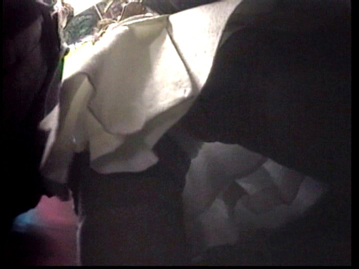 サンプル画像 10