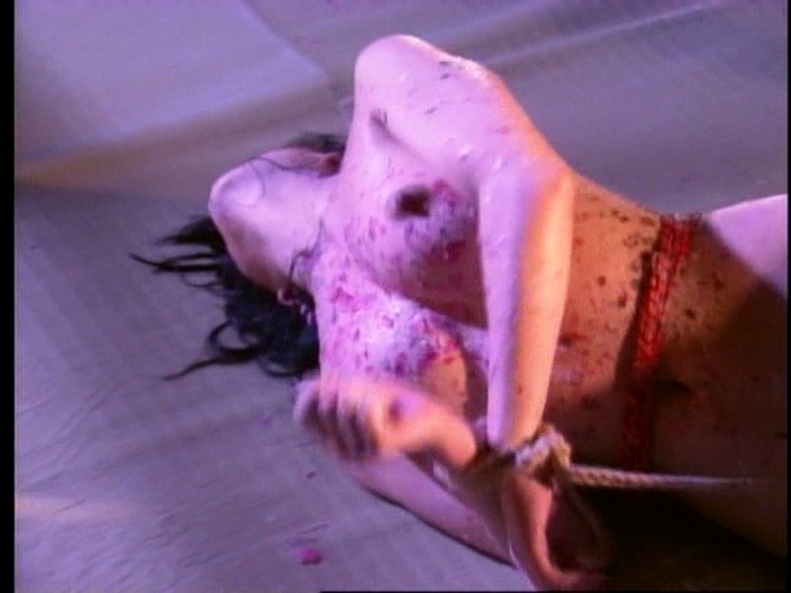 サンプル画像 12